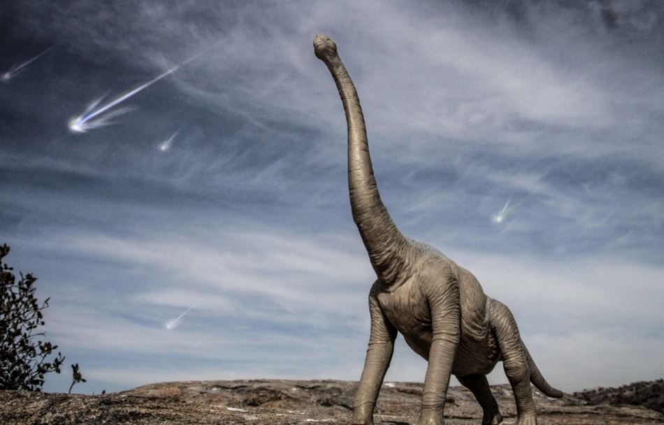 Dinosaurs in space: A scientist who has a chance to find their bones on the moon