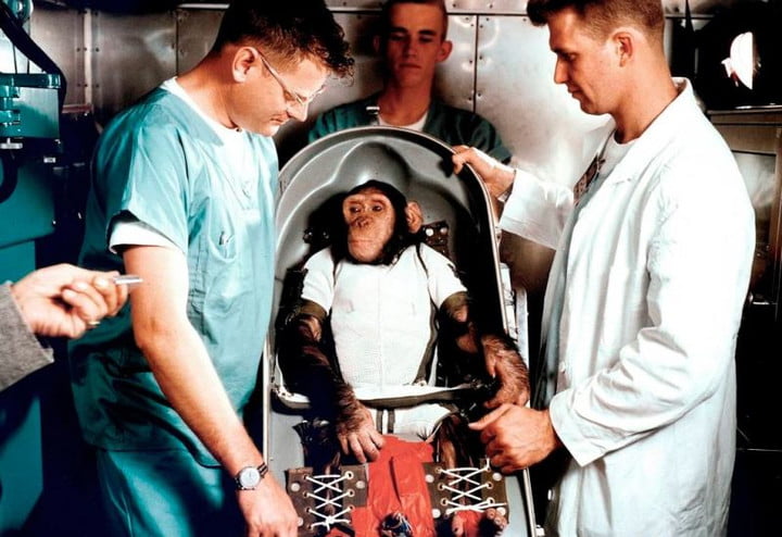 In 1961, chimpanzees became the first human to reach space