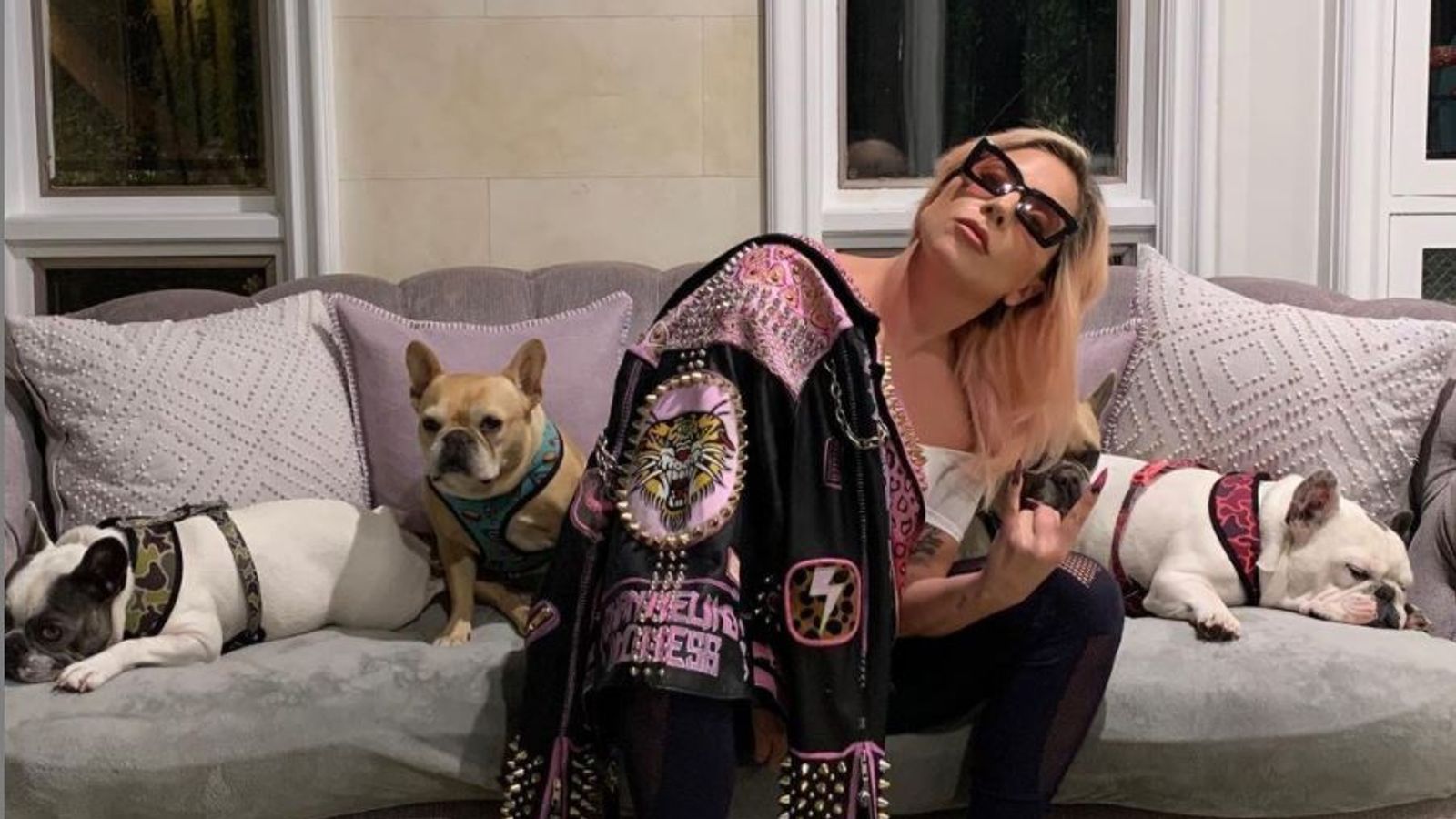 Lady Gaga says her “heart is sick” after a violent dog robbery – because she confirms a huge reward |  Ents & Arts News