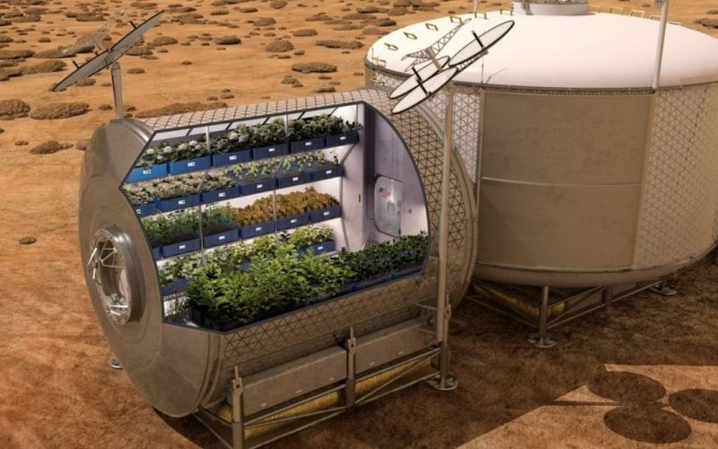 NASA gives the best idea for growing potatoes in space