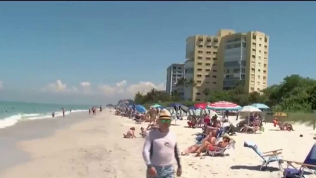 Health warning issued due to red tide on Florida’s west coast – Telemundo Miami (51)