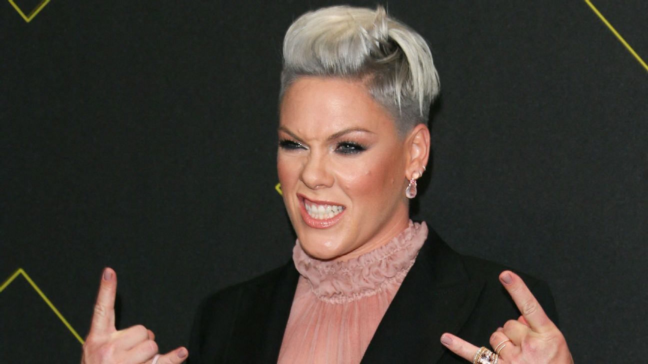 Singer Pink offers to pay a fine to Norway for not wearing a bikini