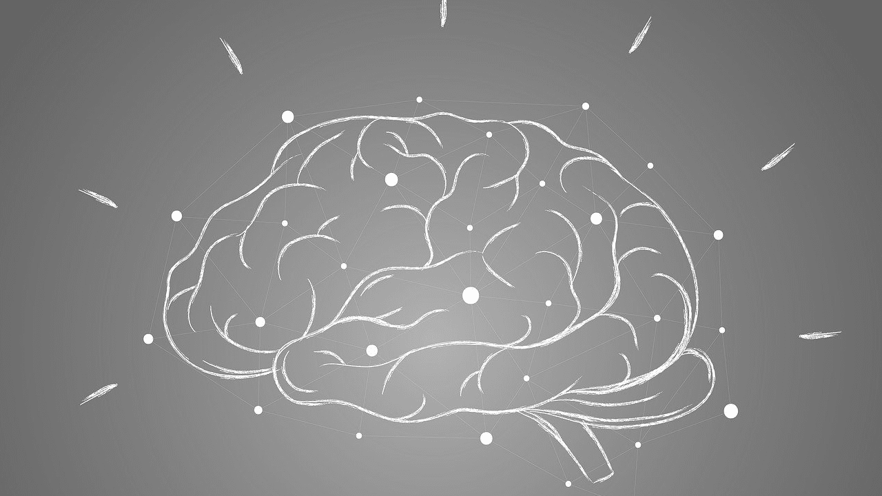 Does human brain shrink due to obesity?