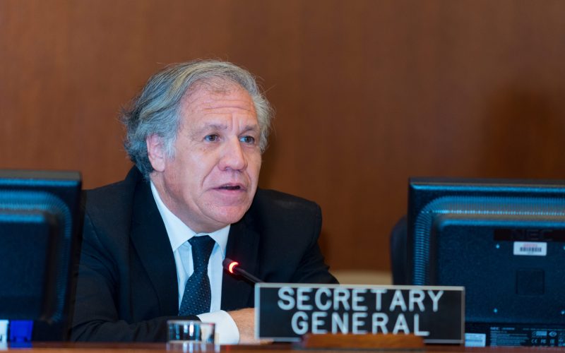 Luis Almagro: New elections are the only way for Nicaragua