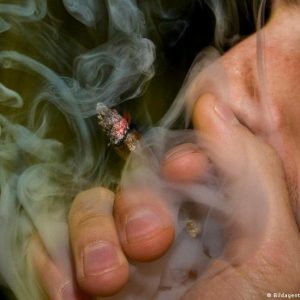 Beneficios y riesgos de la legalización del cannabis |  Ciencia y Ecología |  DW