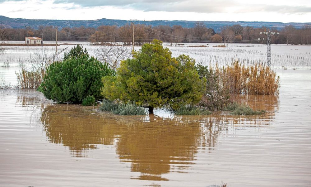 “The only solution to the floods is to return space to the Ebro”