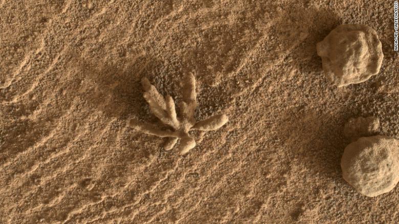 very close to a "Flower" in Mars