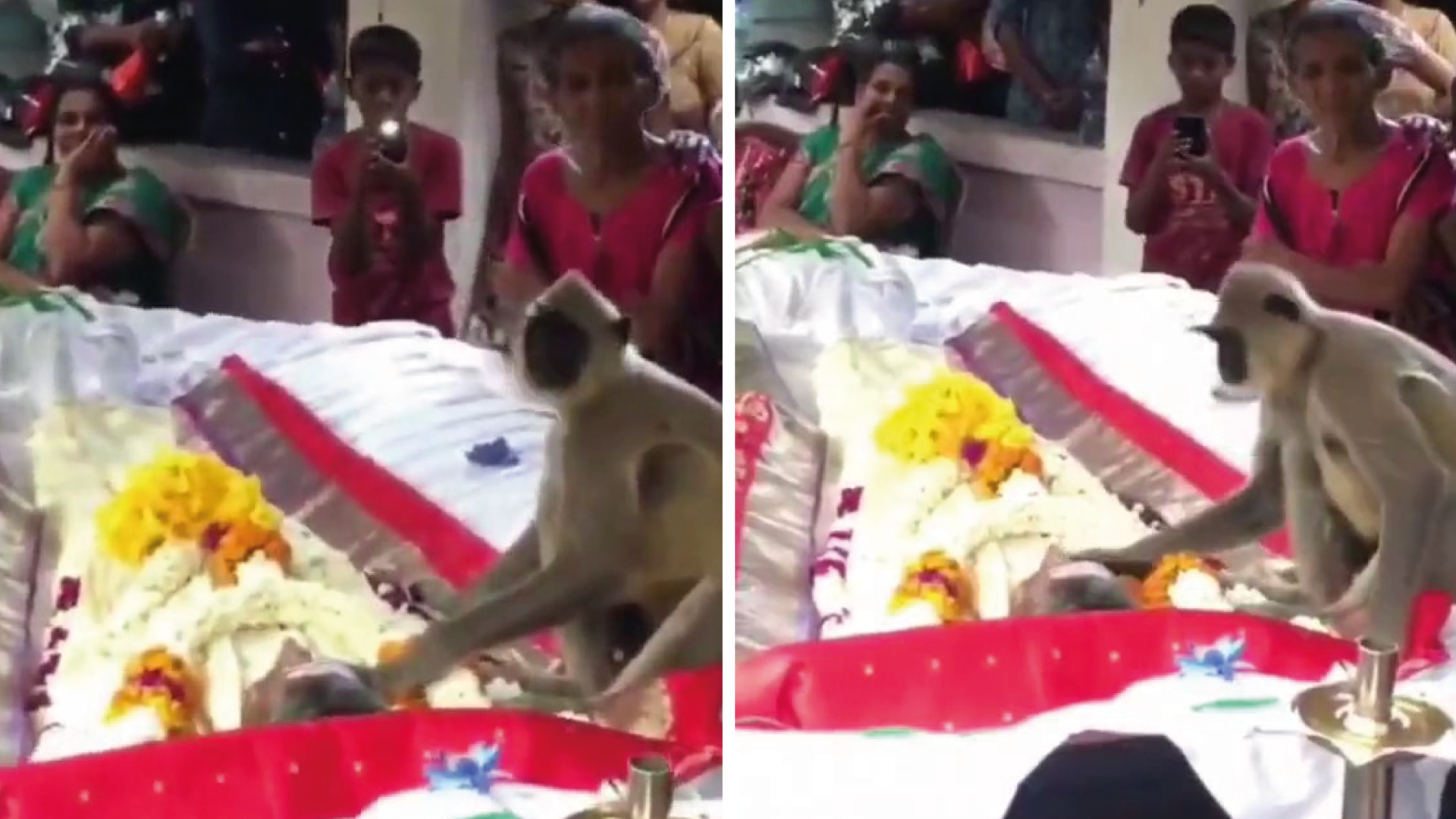 A monkey bids farewell to his human friend, pats his face and is accepted at his funeral.