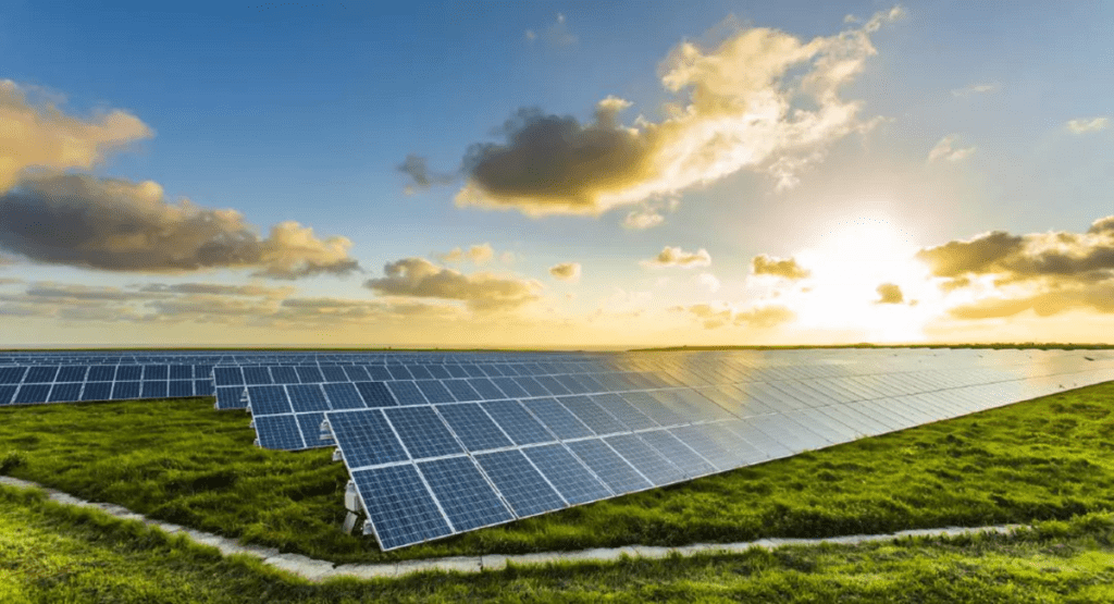 How to Introduce Solar Power to Your Business