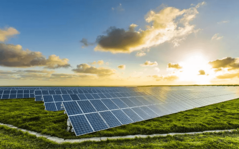 How to Introduce Solar Power to Your Business How to Introduce Solar Power to Your Business